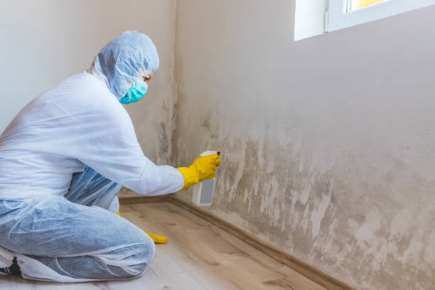 Hvac And Air Duct Mold Remediation inspection of HVAC system in Renton