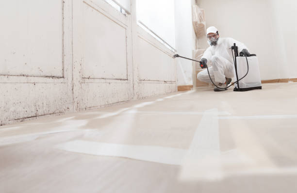 Post-remediation clearance in Renton